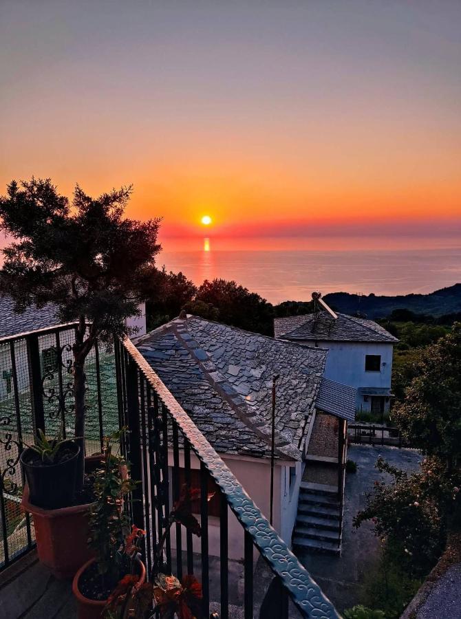 Guesthouse Papagiannopoulou Zagora Exterior photo
