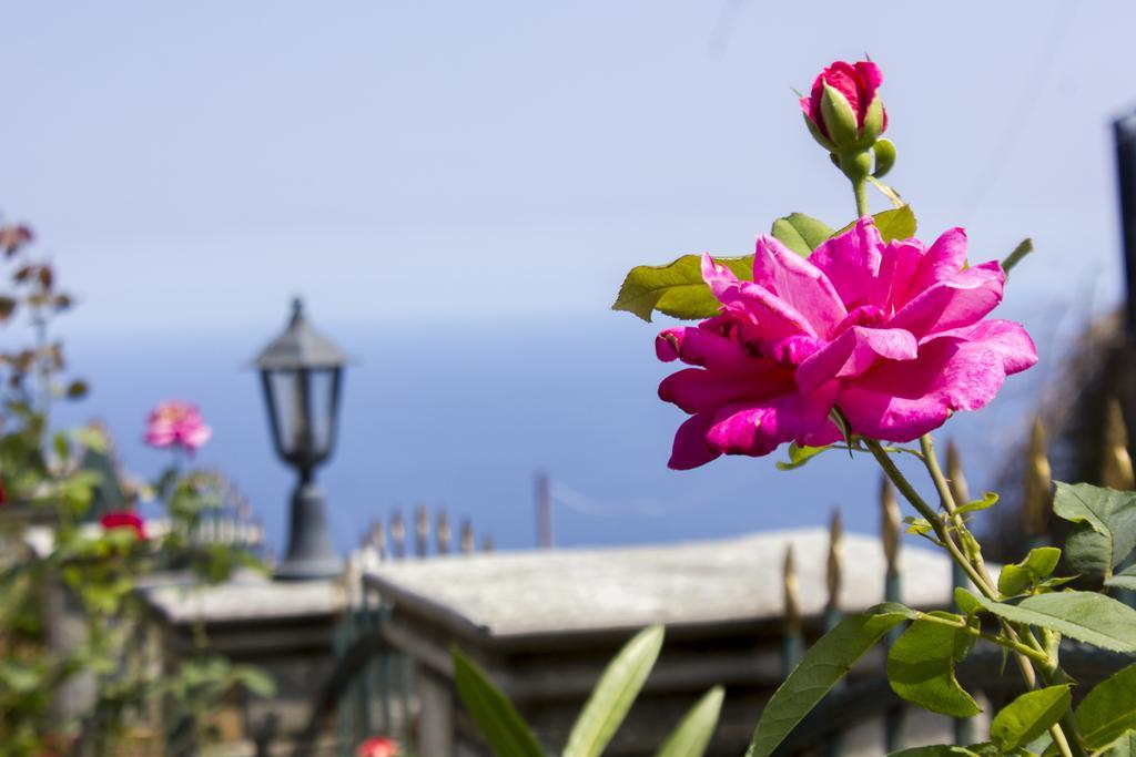 Guesthouse Papagiannopoulou Zagora Exterior photo