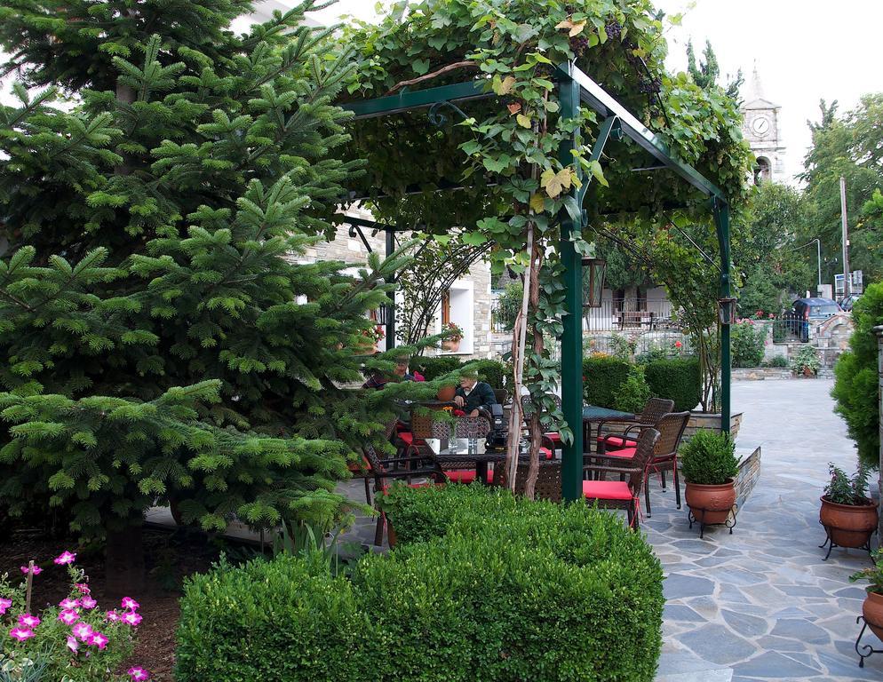 Guesthouse Papagiannopoulou Zagora Exterior photo